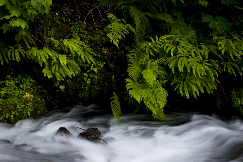 Wahkeena Creek